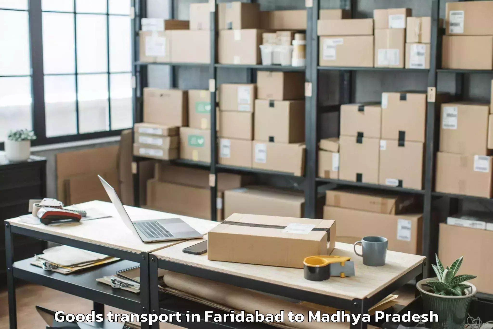 Professional Faridabad to Dumna Goods Transport